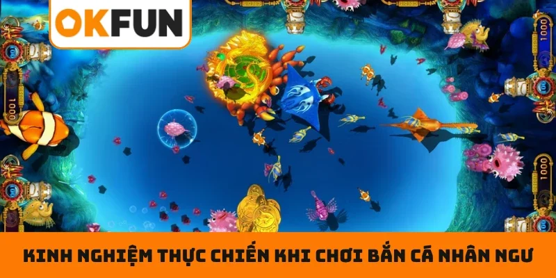 Kinh nghiệm thực chiến khi chơi bắn cá nhân ngư